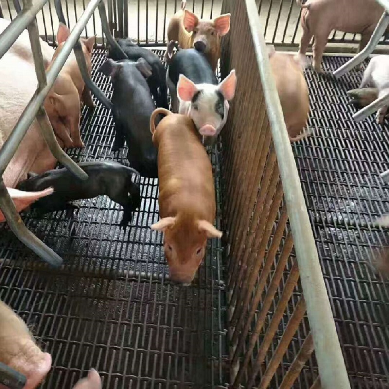 ʵʹͼ